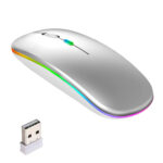 rechargeable mouse